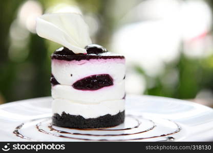 Blueberry cheesecake slice