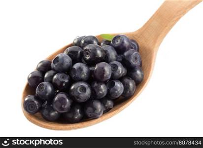 blueberry in spoon on white background