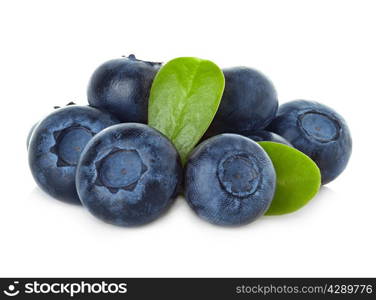 blueberry isolated on white background