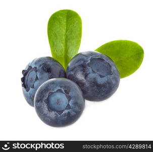 blueberry isolated on white background