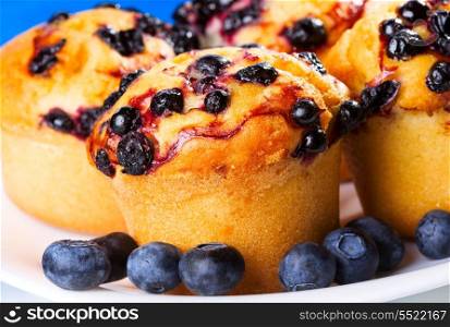 Blueberry muffin with fresh berries
