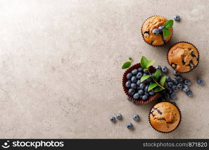 Blueberry muffins with fresh berries, top view