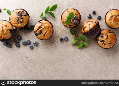 Blueberry muffins with fresh berries, top view