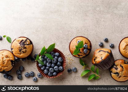 Blueberry muffins with fresh berries, top view