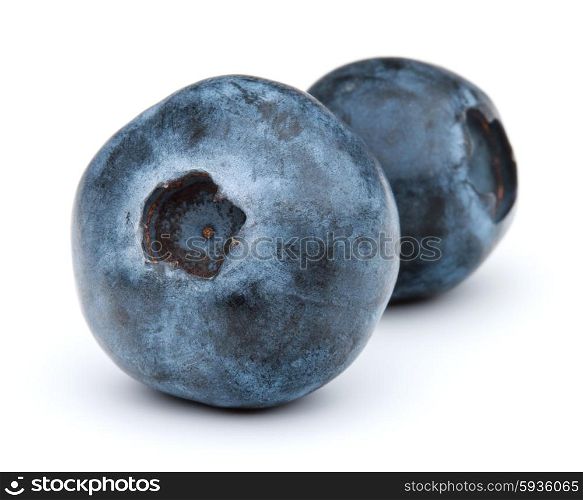 blueberry or bilberry or blackberry or blue whortleberry or huckleberry isolated on white background cutout