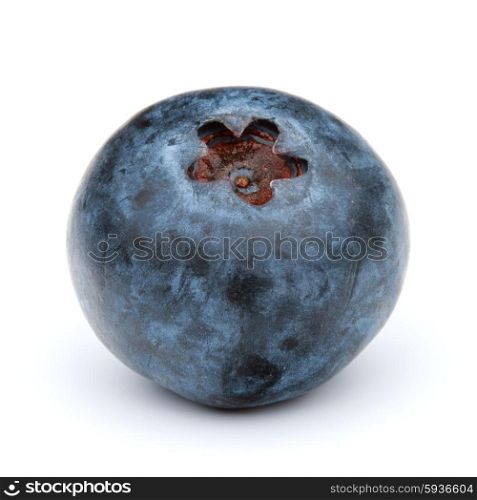 blueberry or bilberry or blackberry or blue whortleberry or huckleberry isolated on white background cutout