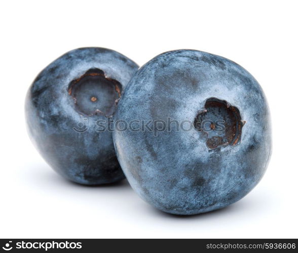 blueberry or bilberry or blackberry or blue whortleberry or huckleberry isolated on white background cutout