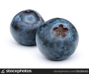 blueberry or bilberry or blackberry or blue whortleberry or huckleberry isolated on white background cutout