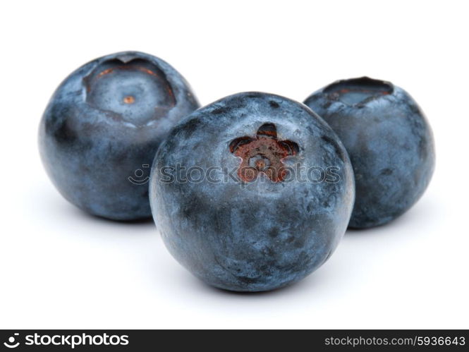 blueberry or bilberry or blackberry or blue whortleberry or huckleberry isolated on white background cutout