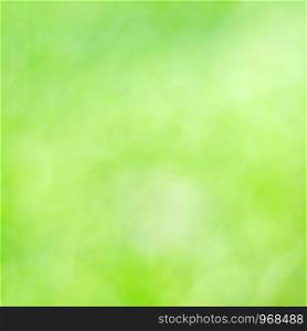 Blur abstract greenery nature background, spring and summer season