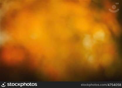 Blur background of trees in autumn for use as wallpaper
