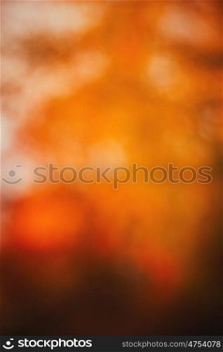 Blur background of trees in autumn for use as wallpaper