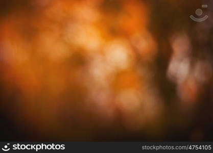 Blur background of trees in autumn for use as wallpaper