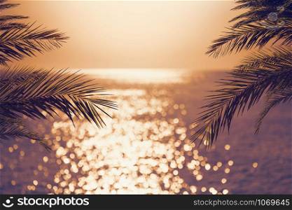 Blur beautiful nature green palm leaf on tropical sunset beach with bokeh light wave abstract background.