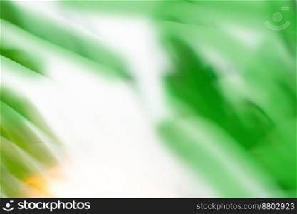 Blur beautiful nature palm leaf nature background.. Beautiful sunset tropical beach with palm tree blurred natural background with boke