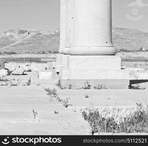 blur in iran pasargad the old construction temple and grave column blur