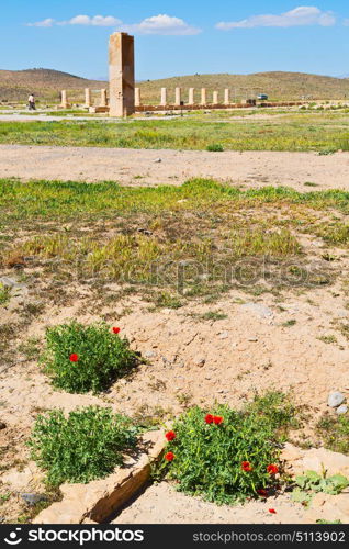 blur in iran pasargad the old construction temple and grave column blur