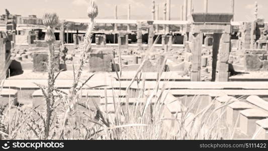 blur in iran persepolis the old ruins historical destination monuments and ruin