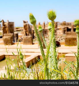 blur in iran persepolis the old ruins historical destination monuments and ruin