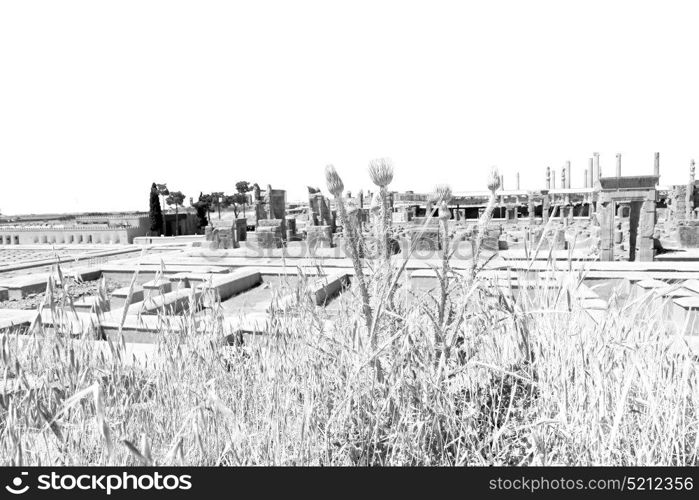 blur in iran persepolis the old ruins historical destination monuments and ruin