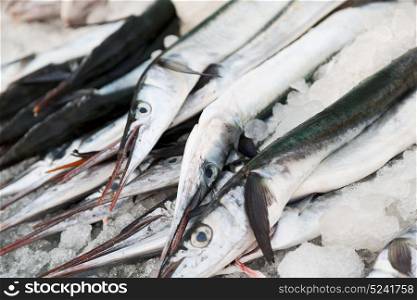 blur in oman market fish lots of animals and salt