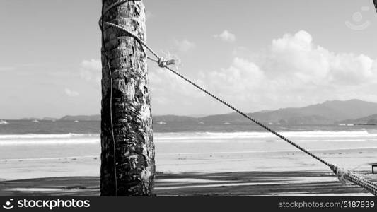 blur in philippines a rope from an hammock near the ocean shore and cloud