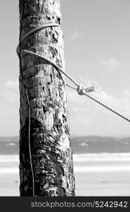 blur in philippines a rope from an hammock near the ocean shore and cloud