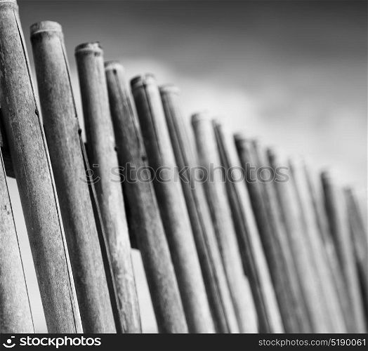 blur in philippines lots bamboo stick for a natural fence and cloudy sky