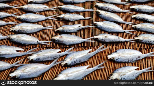 blur in philippines lots of fish salted and dry preparation for the market