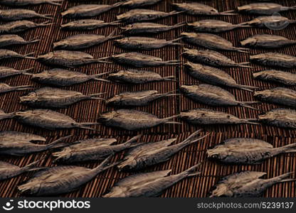 blur in philippines lots of fish salted and dry preparation for the market