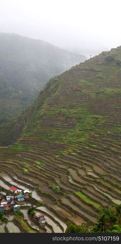 blur in philippines terrace field for coultivation of rice from banaue unesco site