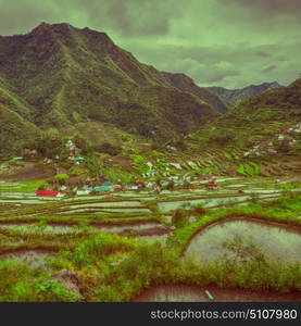 blur in philippines terrace field for coultivation of rice from banaue unesco site