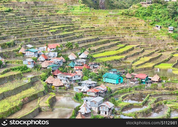 blur in philippines terrace field for coultivation of rice from banaue unesco site