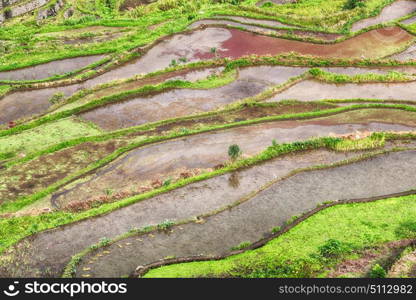 blur in philippines terrace field for coultivation of rice from banaue unesco site