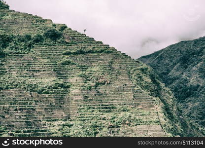 blur in philippines terrace field for coultivation of rice from banaue unesco site