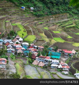 blur in philippines terrace field for coultivation of rice from banaue unesco site