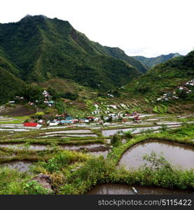 blur in philippines terrace field for coultivation of rice from banaue unesco site