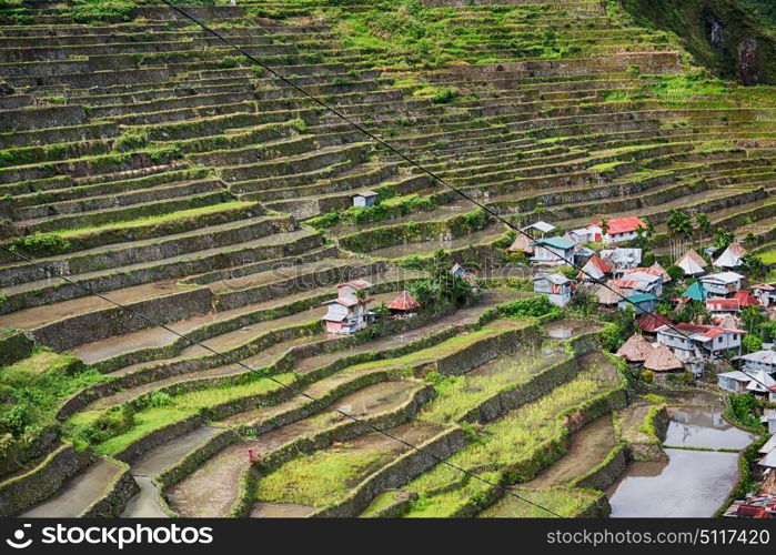 blur in philippines terrace field for coultivation of rice from banaue unesco site