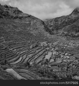 blur in philippines terrace field for coultivation of rice from banaue unesco site