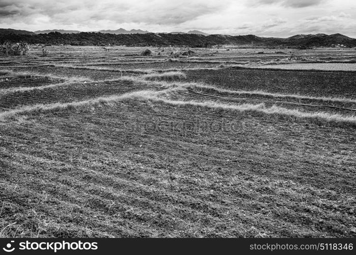 blur in philippines terrace field for coultivation of rice from banaue unesco site