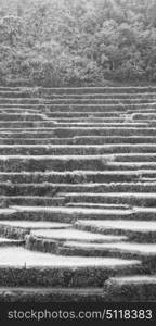 blur in philippines terrace field for coultivation of rice from banaue unesco site