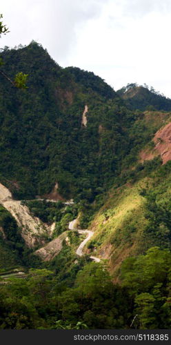 blur in philippines terrace field for coultivation of rice from banaue unesco site