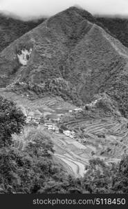 blur in philippines terrace field for coultivation of rice from banaue unesco site