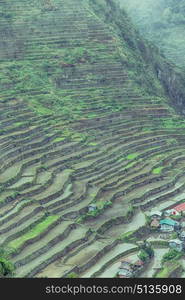 blur in philippines terrace field for coultivation of rice from banaue unesco site