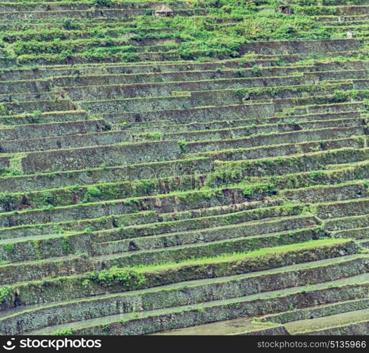 blur in philippines terrace field for coultivation of rice from banaue unesco site