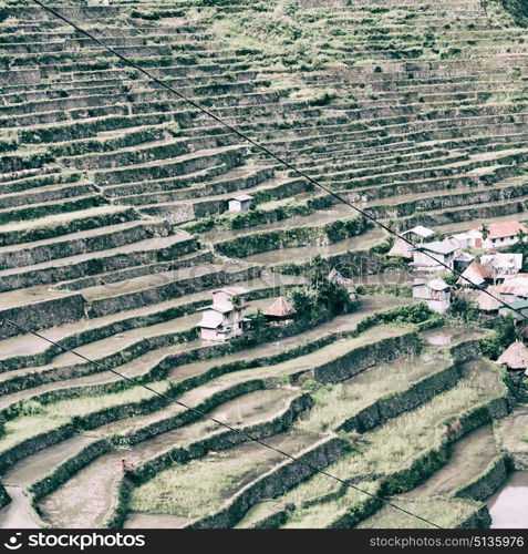 blur in philippines terrace field for coultivation of rice from banaue unesco site