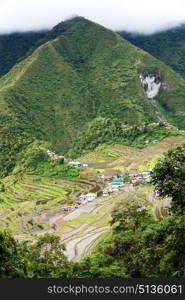 blur in philippines terrace field for coultivation of rice from banaue unesco site