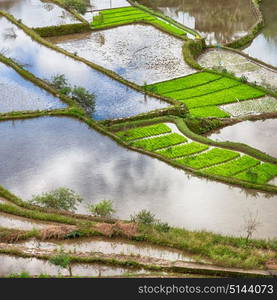 blur in philippines terrace field for coultivation of rice from banaue unesco site