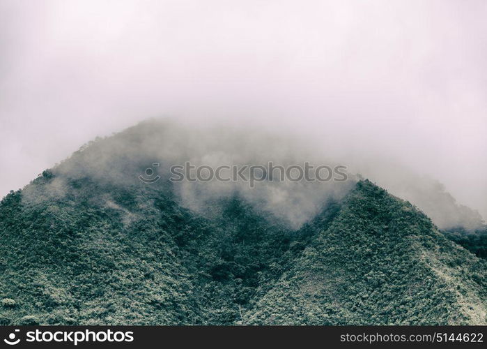 blur in philippines terrace field for coultivation of rice from banaue unesco site