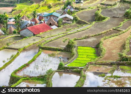 blur in philippines terrace field for coultivation of rice from banaue unesco site